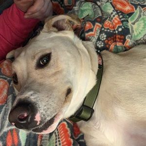 Meet your Posher, Veronica